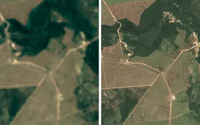 Google libera imagens mais nítidas do Brasil para monitoramento florestal