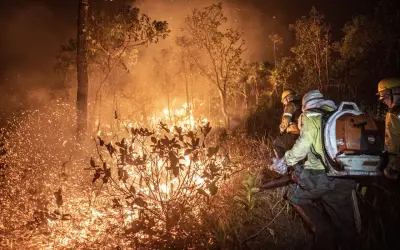 Governo aumenta em 118% efetivo contra queimadas na Amazônia, Pantanal e Cerrado
