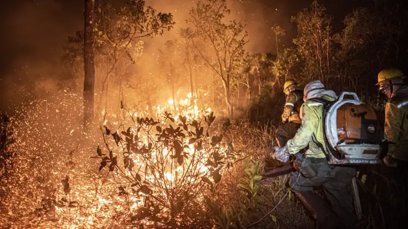 Governo aumenta em 118% efetivo contra queimadas na Amazônia, Pantanal e Cerrado