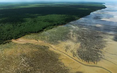 Da promessa à contradição: o governo Lula e a nova "boiada" na Foz do Amazonas