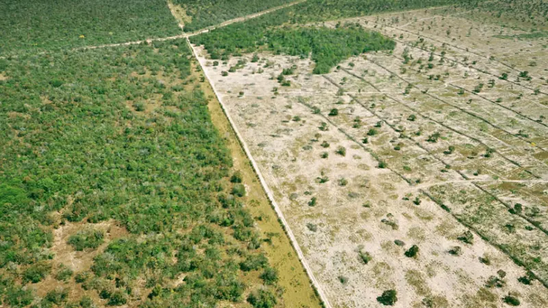 Grandes lavouras estão chegando perto do Pantanal