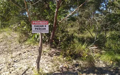 Green grabbing: a grilagem 2.0 ataca no campo