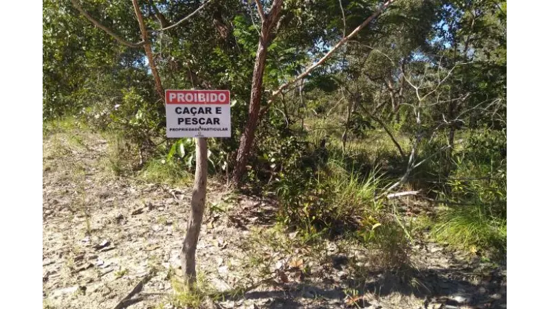 Green grabbing: a grilagem 2.0 ataca no campo