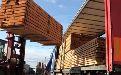 Greve do IBAMA agrava crise no setor florestal e destaca déficit de fiscais ambientais no Brasil