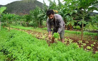 Grito da Terra Brasil aponta a diferença entre a agricultura familiar para o agronegócio