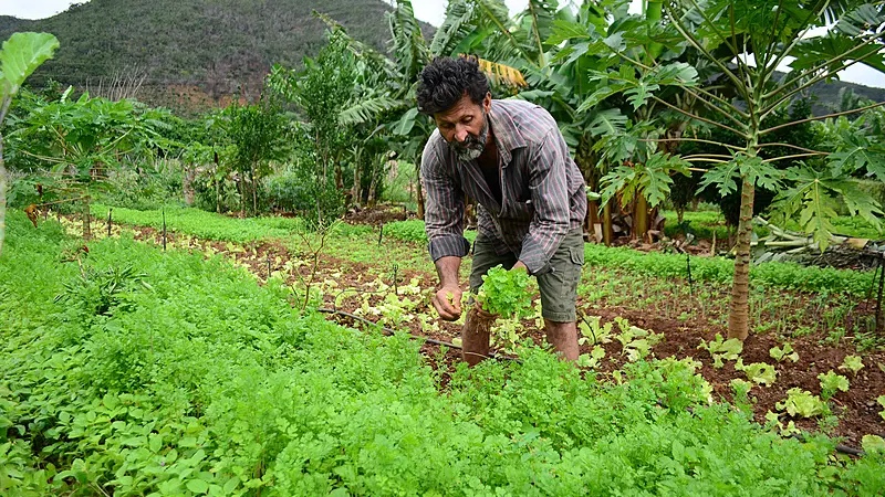 Grito da Terra Brasil aponta a diferença entre a agricultura familiar para o agronegócio
