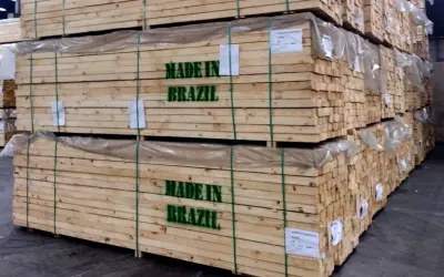 Guerra comercial no exterior ameaça mercado da madeira no Brasil