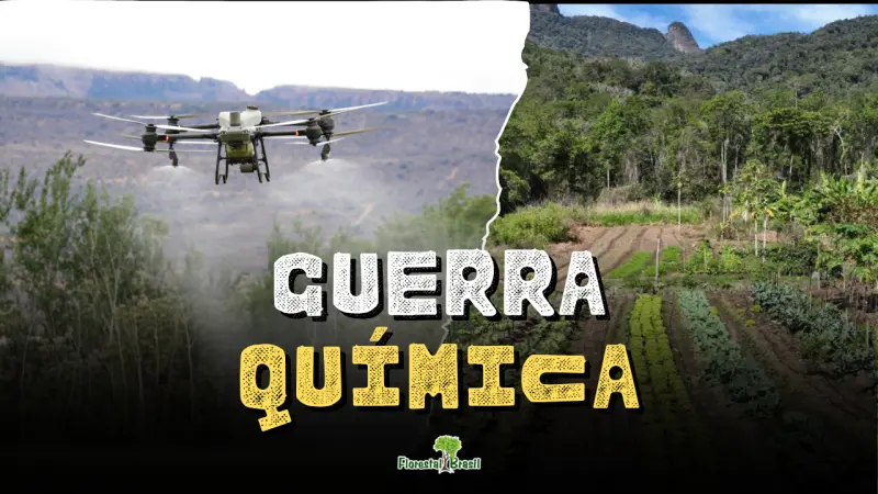Guerra Química no Maranhão: o uso de agrotóxicos como arma de expulsão no MATOPIBA