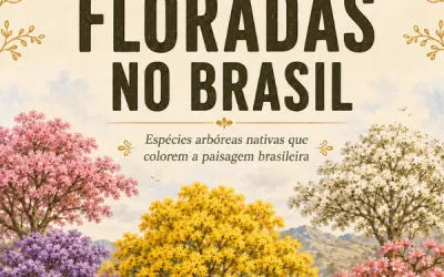 Guia das Floradas no Brasil: conheça árvores nativas que colorem a paisagem brasileira