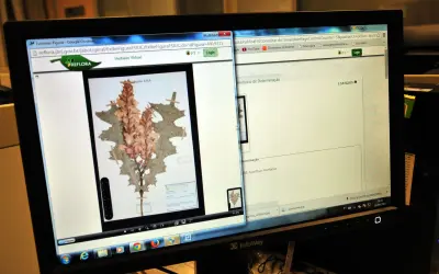 Herbário digitaliza 1,2 milhão de amostras
