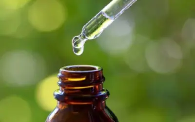 Homeopatia para plantas: Startup revoluciona o agronegócio com tratamento natural para plantios