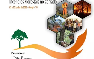 I Workshop Integrado Sobre Incêndios Florestais no Cerrado