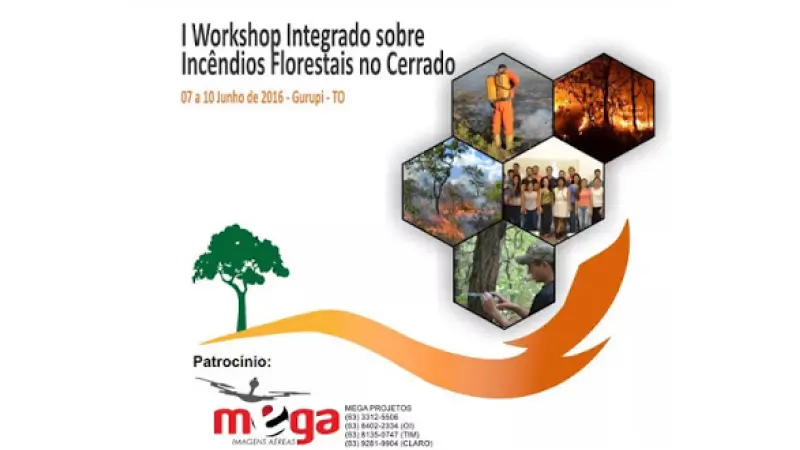 I Workshop Integrado Sobre Incêndios Florestais no Cerrado