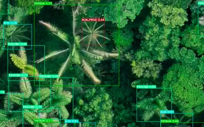 Inteligência artificial brasileira mapeia 3.500 hectares da Amazônia em apenas um dia