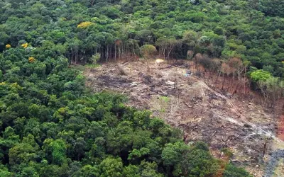 Ibama embarga 2.155 hectares de áreas degradadas ao longo da BR-319