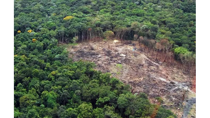 Ibama embarga 2.155 hectares de áreas degradadas ao longo da BR-319