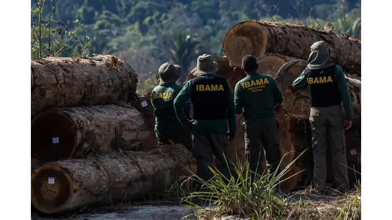 Ibama entra em greve no Pará