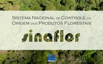 IBAMA lança curso GRATUITO para uso do SINAFLOR