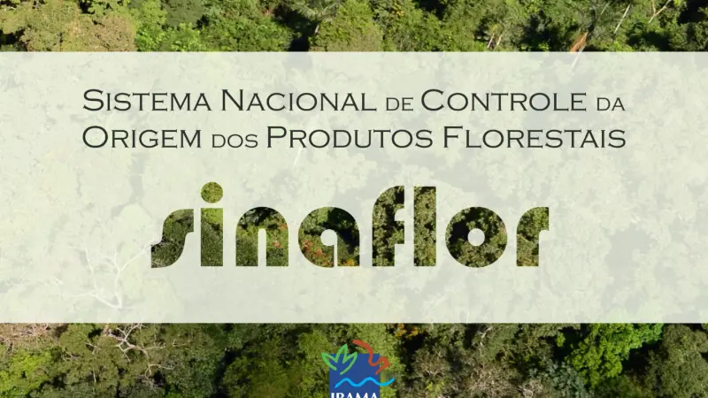 IBAMA lança curso GRATUITO para uso do SINAFLOR