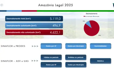 Ibama lança ferramenta que diferencia desmatamento legal e ilegal e amplia transparência