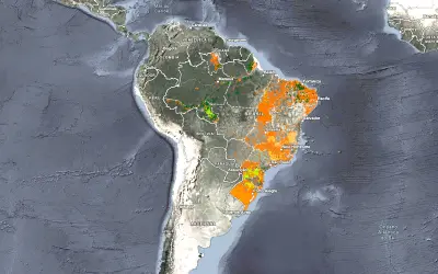 Ibama lança novo painel de exploração florestal que trás transparência e inovação no monitoramento ambiental