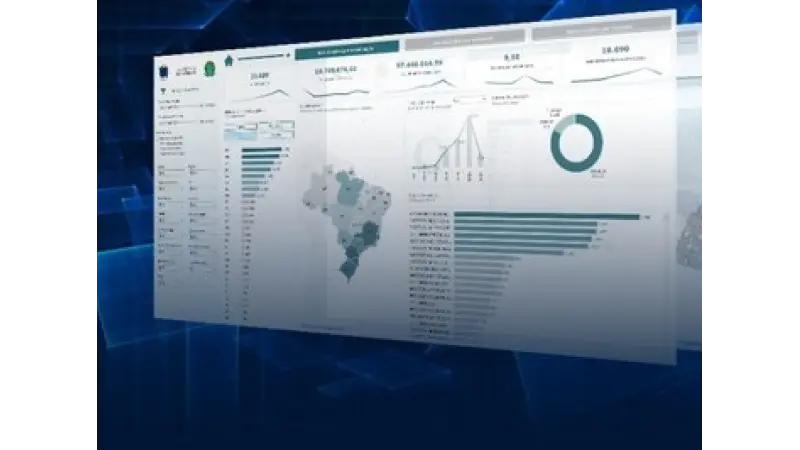 Ibama lança portal de transparência do comércio de madeira no Brasil