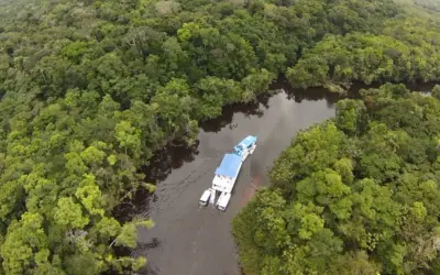 Imazon integra projeto para desenvolvimento de cadeias de produtos da floresta na Norte do Pará