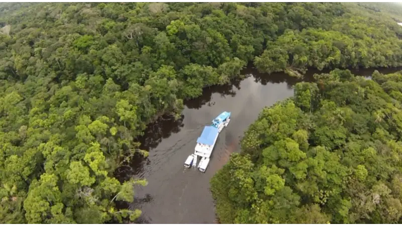Imazon integra projeto para desenvolvimento de cadeias de produtos da floresta na Norte do Pará