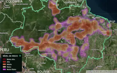 Imazon lança ferramenta de inteligência artificial para prever o desmatamento na Amazônia