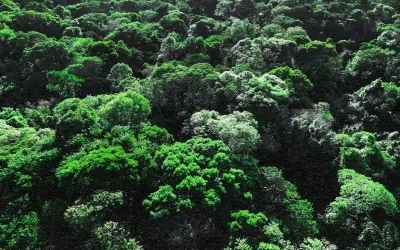 Impacto de asteroide e elevação dos Andes ajudaram a moldar os ecossistemas da América do Sul