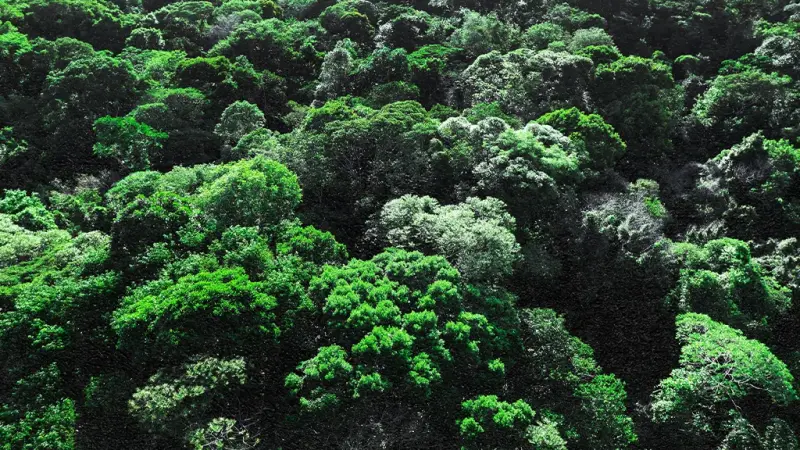 Impacto de asteroide e elevação dos Andes ajudaram a moldar os ecossistemas da América do Sul