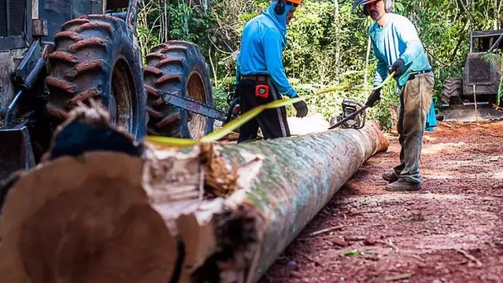 Nova Instrução Normativa Nº 01/2025 define regras para exploração de espécies CITES no Mato Grosso