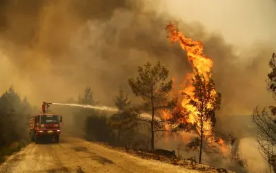 Incêndio florestal na Turquia deixa diversos focos e perdas