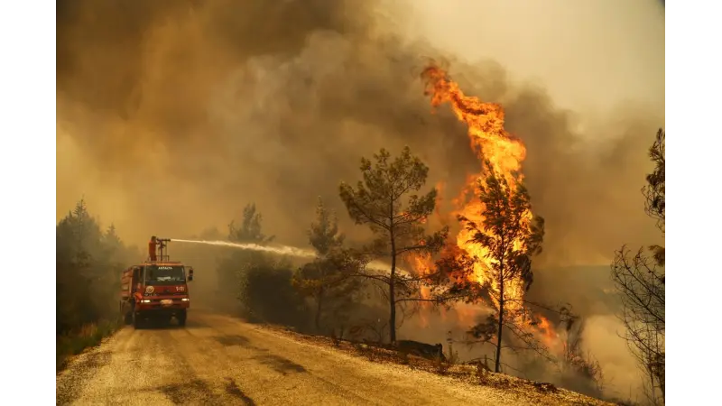 Incêndio florestal na Turquia deixa diversos focos e perdas