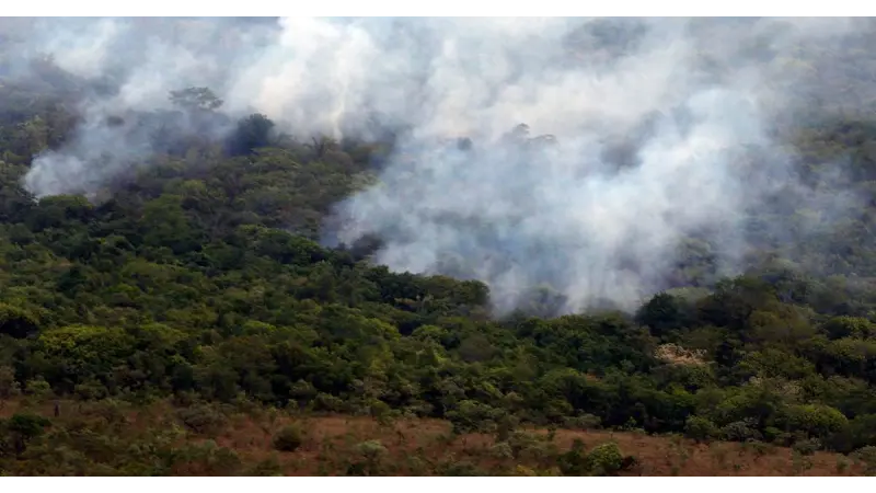 Incêndios na Amazônia aumentaram cerca de 13% em relação a 2021 segundo INPE