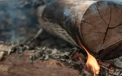 Incêndios na Amazônia em 2024 superam emissões do desmatamento