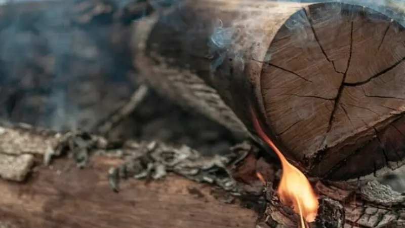 Incêndios na Amazônia em 2024 superam emissões do desmatamento