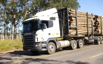 Indústria de base florestal deve levar 1 mês para se recuperar da greve