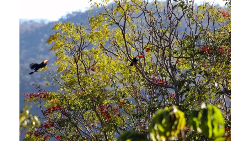 Iniciativa destinará cerca de R$ 3,6 milhões a projetos de conservação