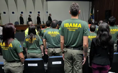 Inscrições para processo seletivo no Ibama