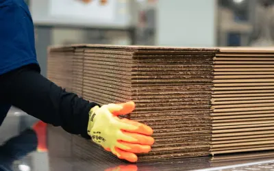 International Paper Brasil agora é Sylvamo: a empresa de papel do mundo