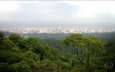 Justiça proíbe Ibama de anular sanções ambientais em áreas de preservação da Mata Atlântica