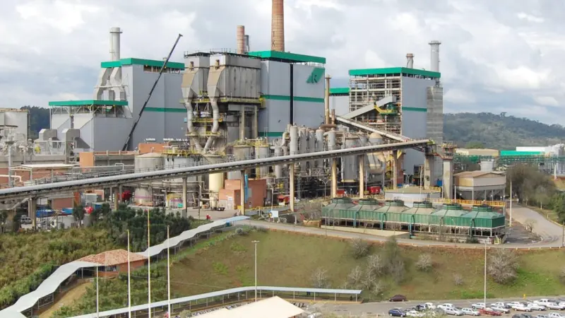 Klabin compra as operações florestais da Arauco por quase R$ 6 bilhões