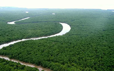 Lançado edital para concessão florestal em Caxiuanã