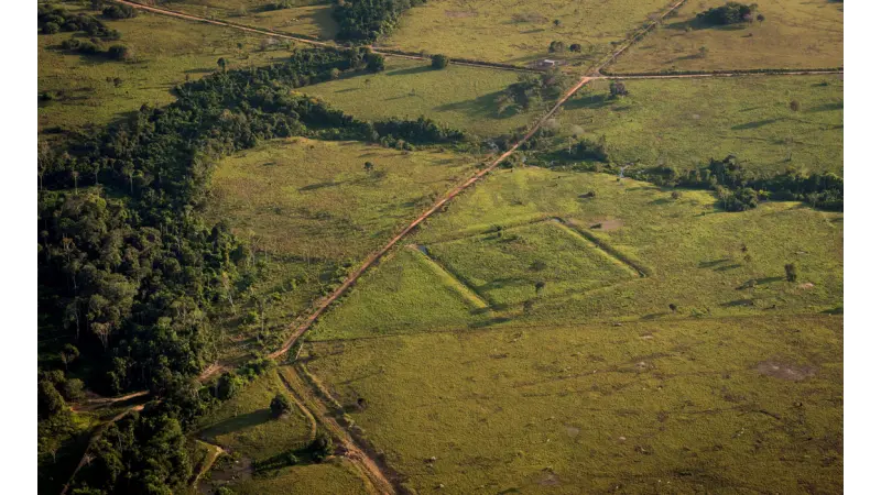 Laser detecta geoglifos escondidos na Amazônia