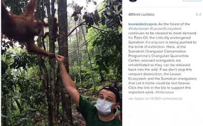 Leonardo DiCaprio é ameaçado de deportação após criticar desmatamento