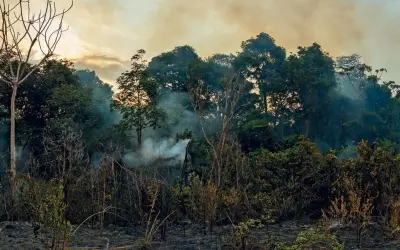 Leste da Amazônia está emitindo 10 vezes mais CO2 que o Oeste
