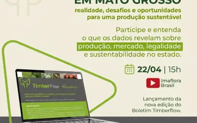 [Inscrições gratuitas] Webinar debate desafios e oportunidades da produção madeireira sustentável em Mato Grosso no lançamento de novo boletim Timberflow