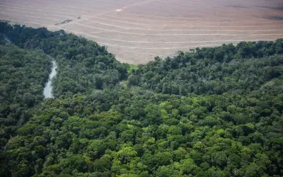 Maior tendência de seca na América do Sul foi em área de transição de Amazônia e Cerrado