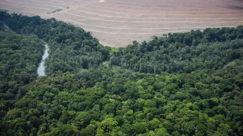 Maior tendência de seca na América do Sul foi em área de transição de Amazônia e Cerrado
